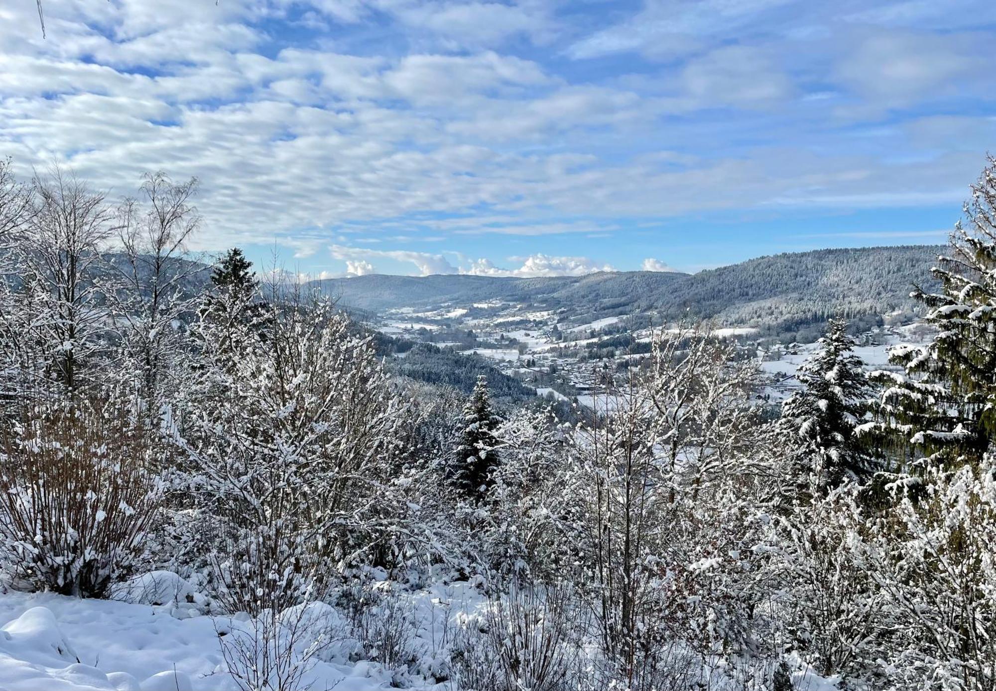 Le Gite Cozy De Bouvacote Avec Vue Panoramique Et Sauna Le Tholy Exterior foto